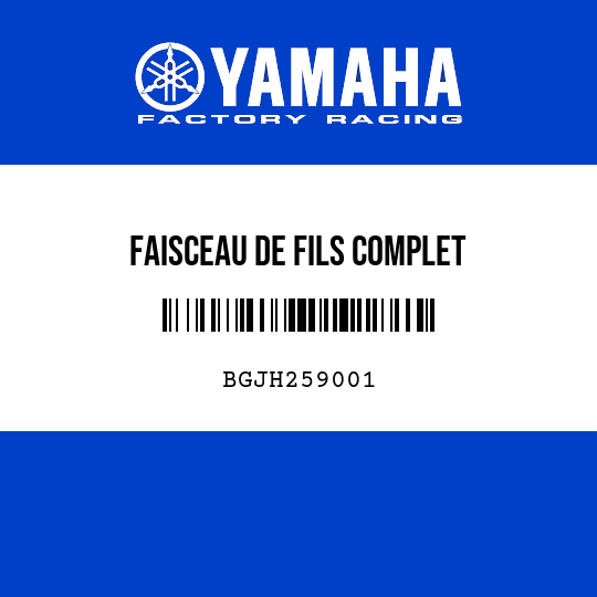 FAISCEAU DE FILS COMPLET