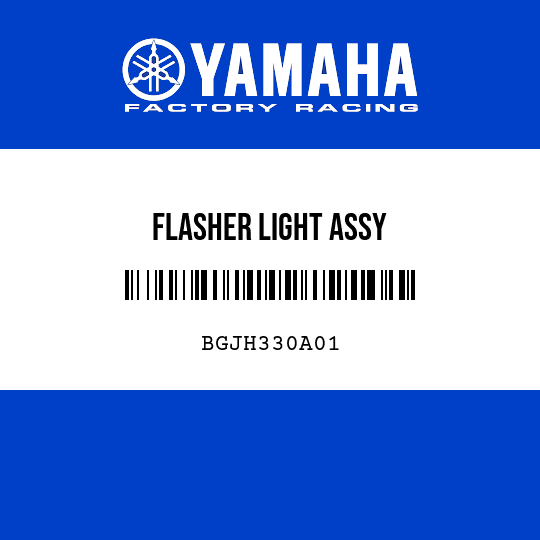 FLASHER LIGHT ASSY