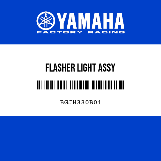 FLASHER LIGHT ASSY
