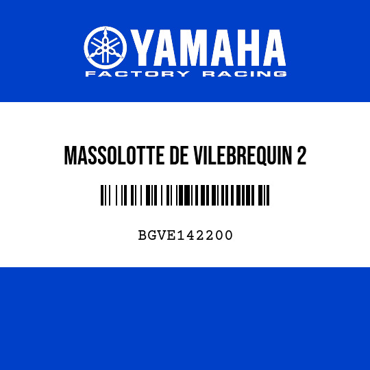 MASSOLOTTE DE VILEBREQUIN 2