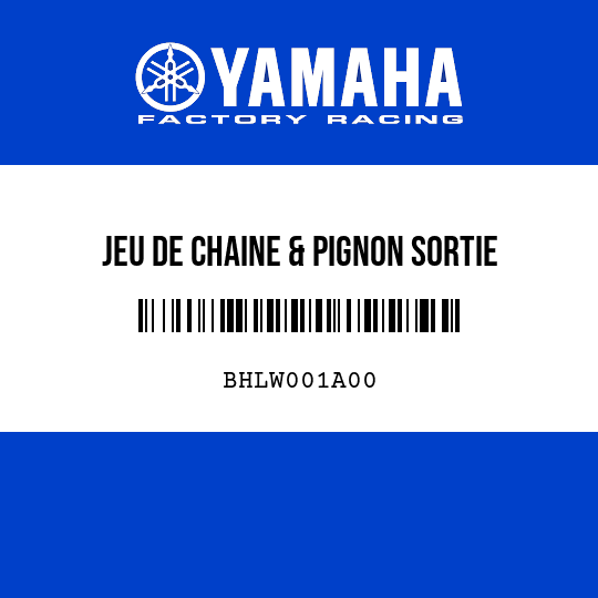 JEU DE CHAINE & PIGNON SORTIE