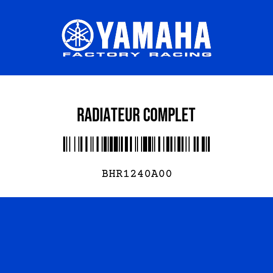 RADIATEUR COMPLET