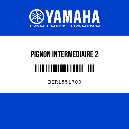 PIGNON INTERMEDIAIRE 2