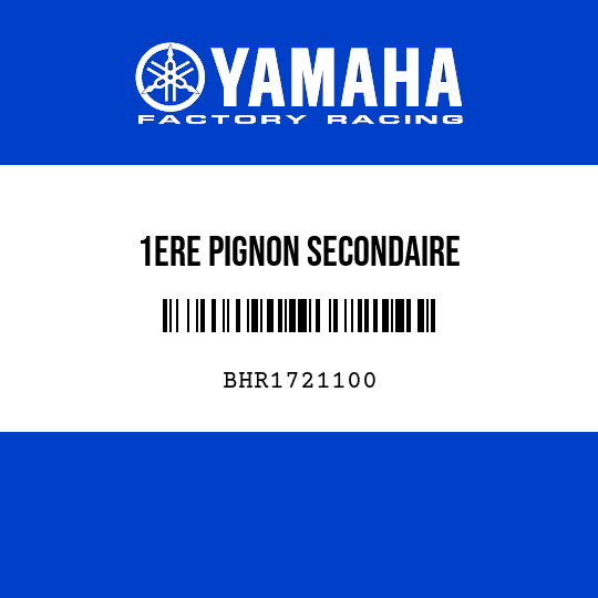 1ERE PIGNON SECONDAIRE