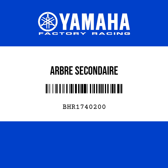 ARBRE SECONDAIRE