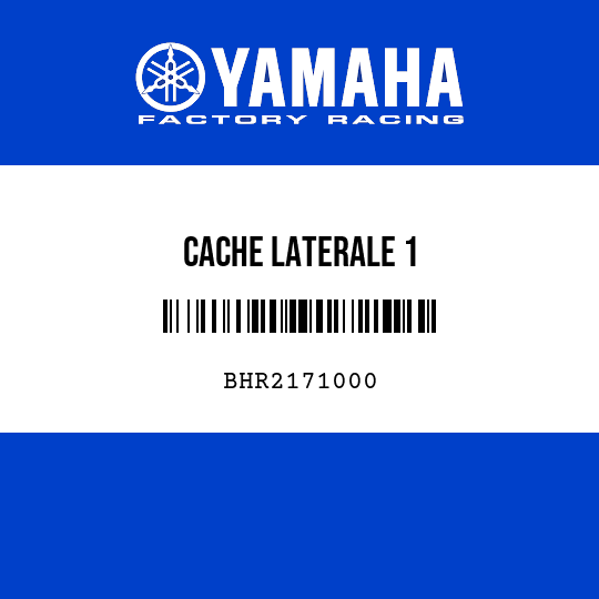 CACHE LATERALE 1