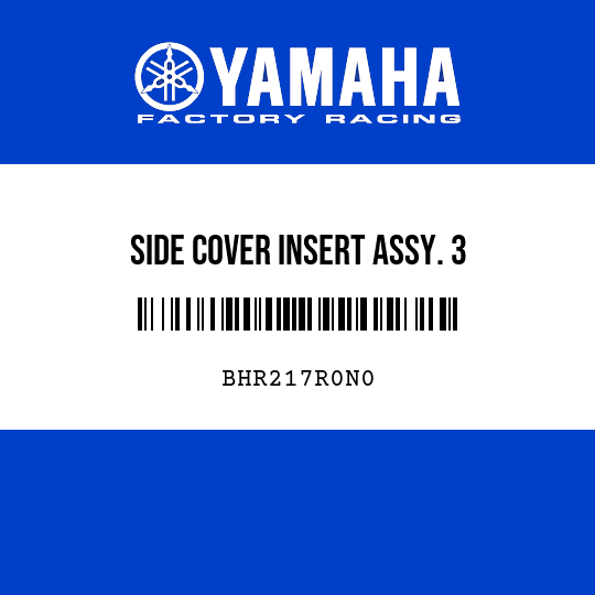 SIDE COVER INSERT ASSY. 3