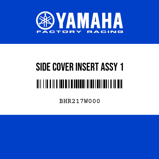 SIDE COVER INSERT ASSY 1