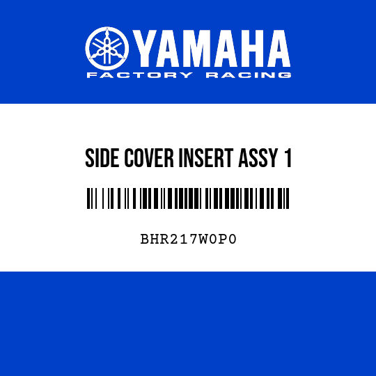 SIDE COVER INSERT ASSY 1