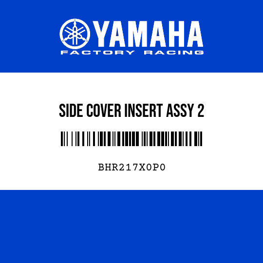SIDE COVER INSERT ASSY 2