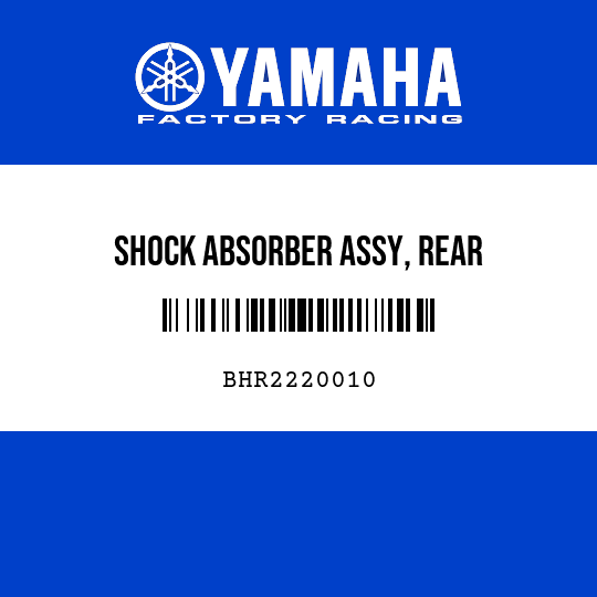 SHOCK ABSORBER ASSY, REAR