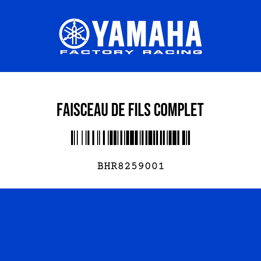 FAISCEAU DE FILS COMPLET