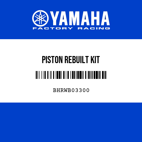 PISTON REBUILT KIT