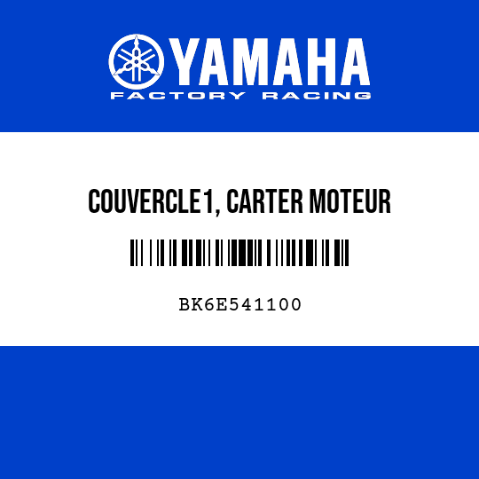 COUVERCLE1, CARTER MOTEUR