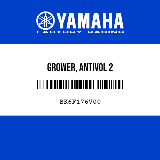 GROWER, ANTIVOL 2
