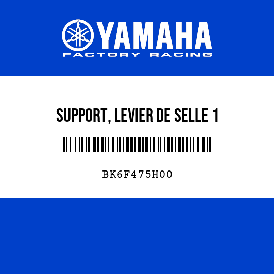 SUPPORT, LEVIER DE SELLE 1