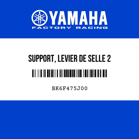 SUPPORT, LEVIER DE SELLE 2