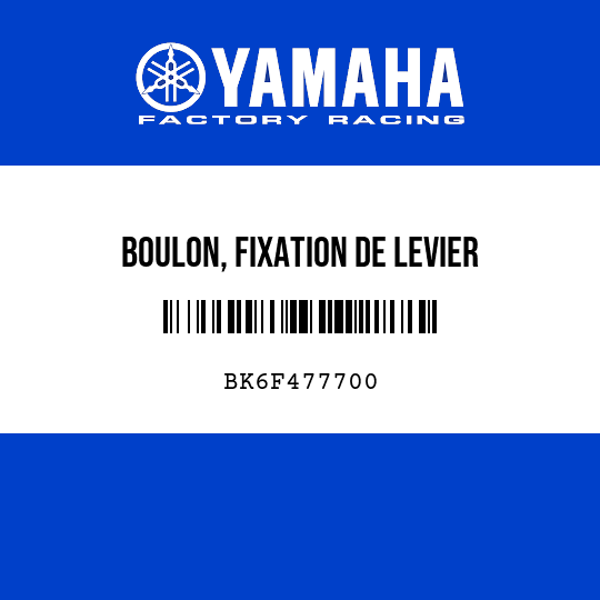 BOULON, FIXATION DE LEVIER