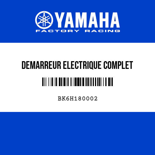 DEMARREUR ELECTRIQUE COMPLET