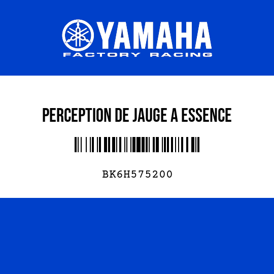 PERCEPTION DE JAUGE A ESSENCE