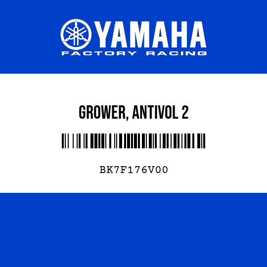 GROWER, ANTIVOL 2