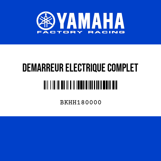 DEMARREUR ELECTRIQUE COMPLET