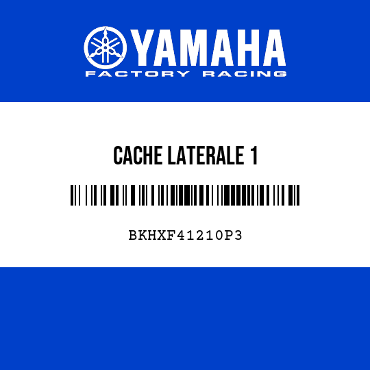 CACHE LATERALE 1