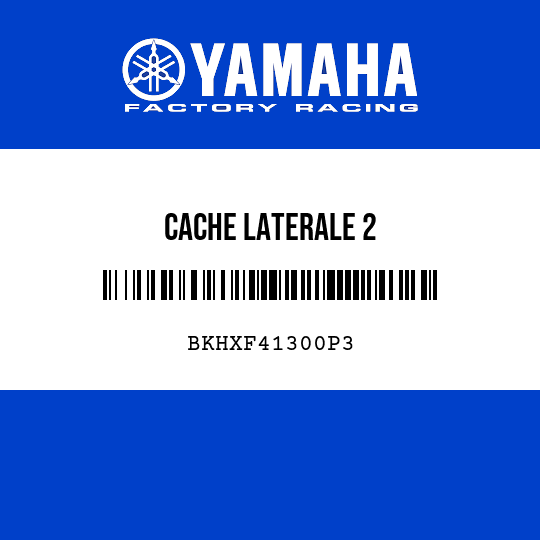 CACHE LATERALE 2