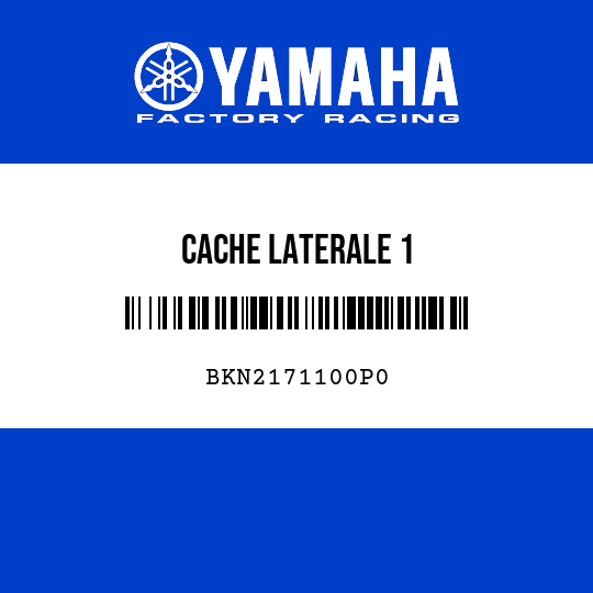 CACHE LATERALE 1