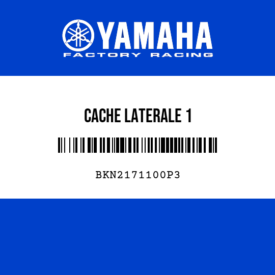 CACHE LATERALE 1