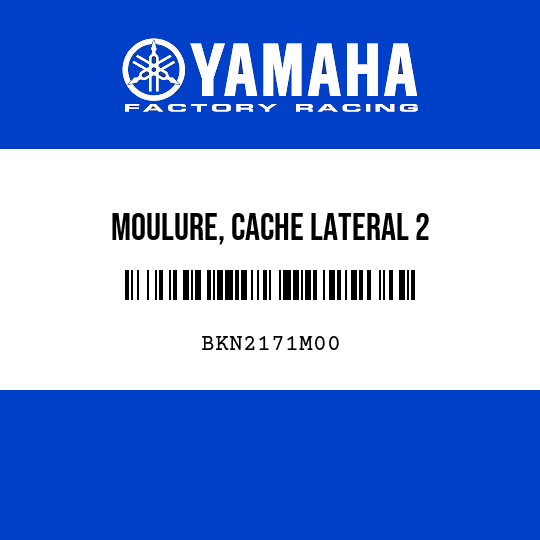 MOULURE, CACHE LATERAL 2