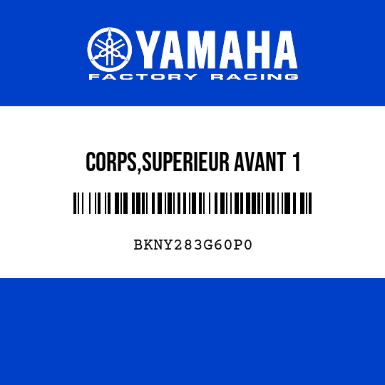CORPS,SUPERIEUR AVANT 1
