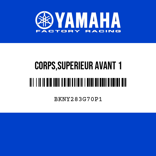 CORPS,SUPERIEUR AVANT 1
