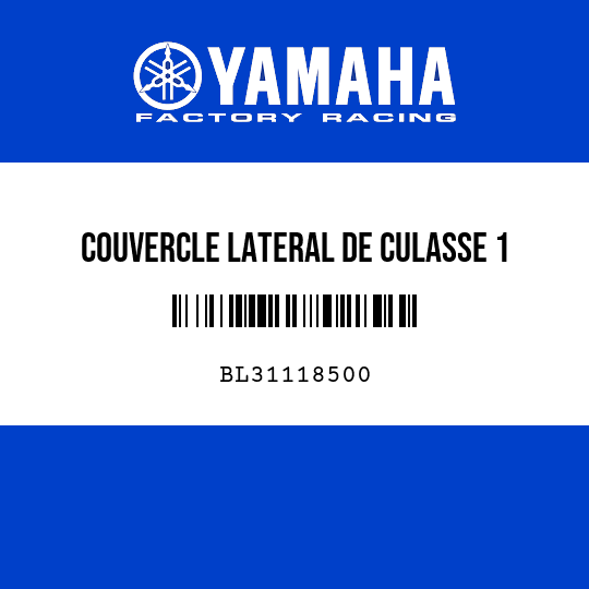 COUVERCLE LATERAL DE CULASSE 1