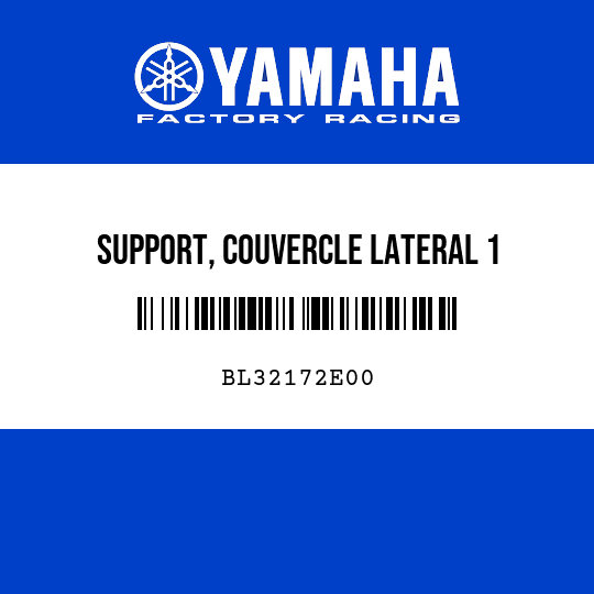 SUPPORT, COUVERCLE LATERAL 1
