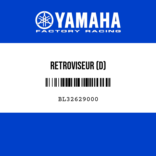 RETROVISEUR (D)