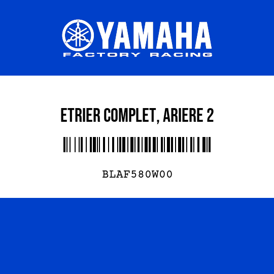 ETRIER COMPLET, ARIERE 2