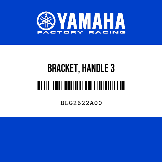 BRACKET, HANDLE 3