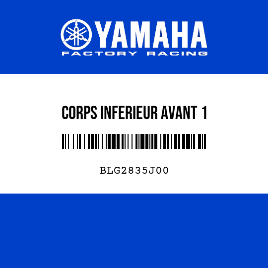 CORPS INFERIEUR AVANT 1