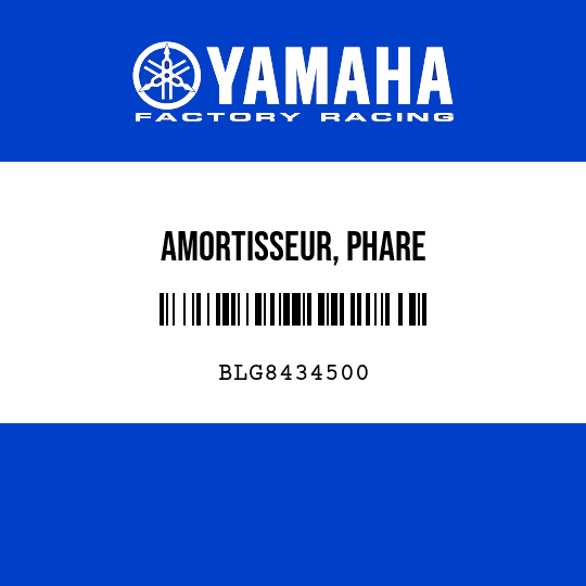 AMORTISSEUR, PHARE