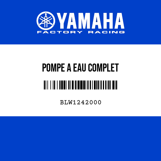 POMPE A EAU COMPLET
