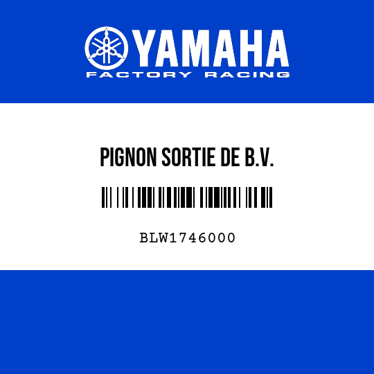 PIGNON SORTIE DE B.V.