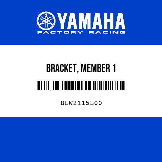 BRACKET, MEMBER 1