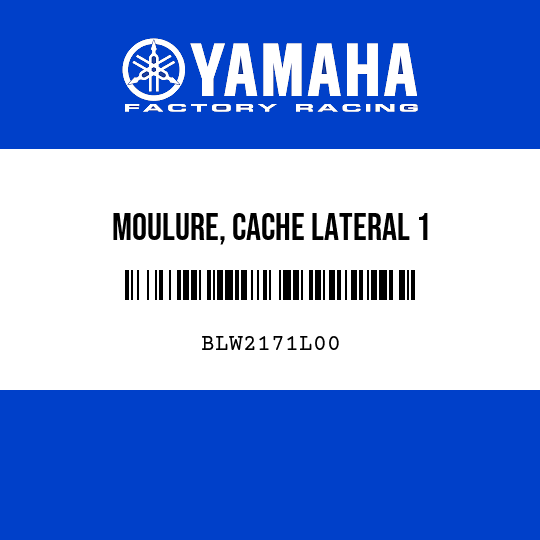 MOULURE, CACHE LATERAL 1