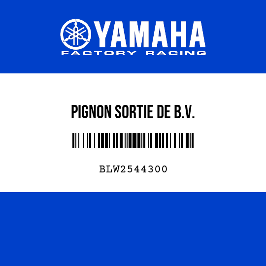 PIGNON SORTIE DE B.V.