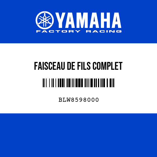 FAISCEAU DE FILS COMPLET