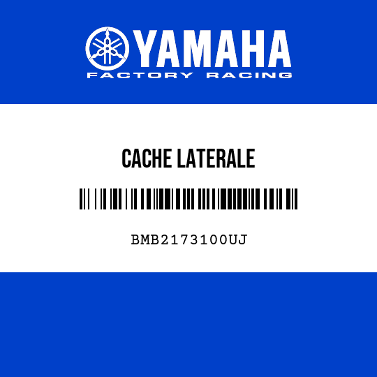 CACHE LATERALE