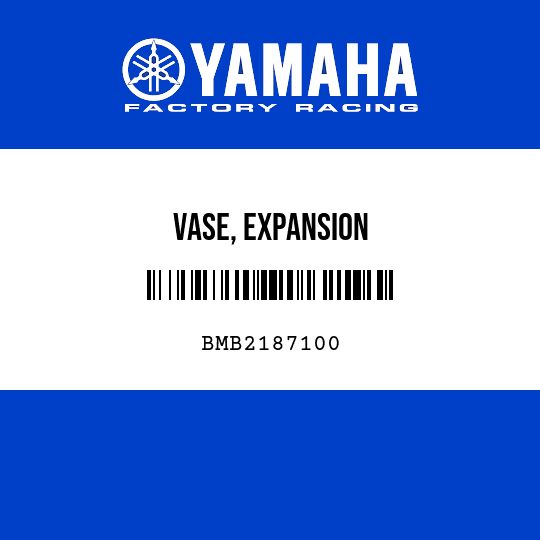 VASE, EXPANSION