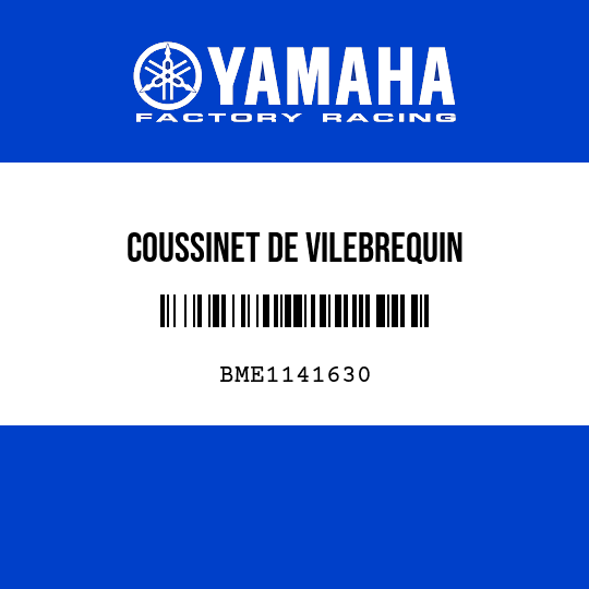 COUSSINET DE VILEBREQUIN