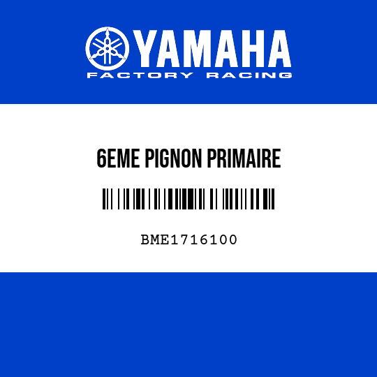 6EME PIGNON PRIMAIRE
